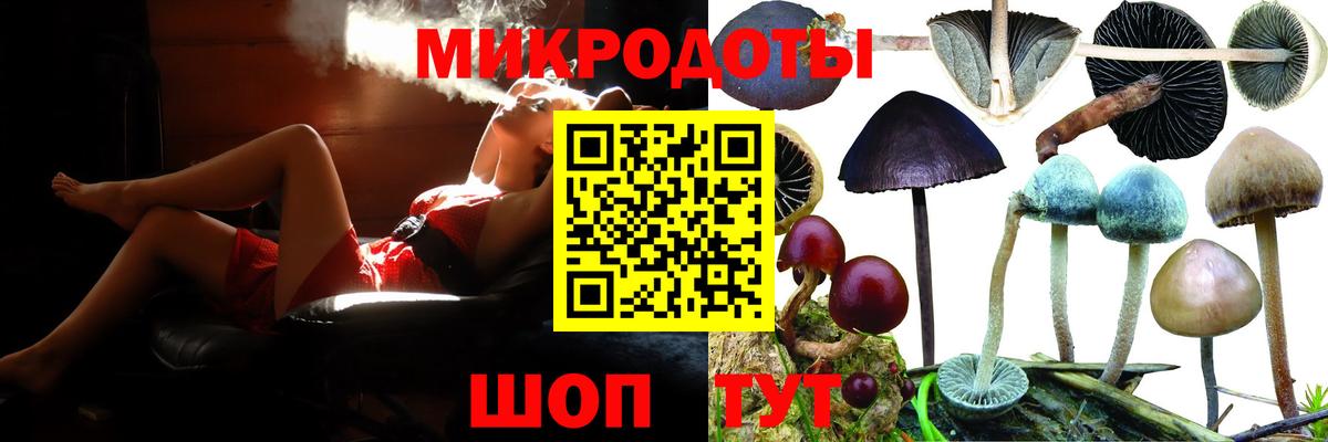 Псилоцибиновые грибы GOLDEN TEACHER Вышний Волочёк