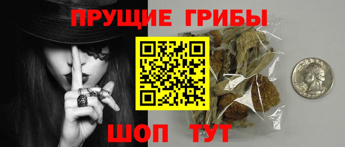 Галлюциногенные грибы GOLDEN TEACHER  купить  цена  Вышний Волочёк  Вход с VPN 